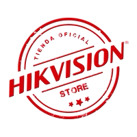 Hikvision Puebla